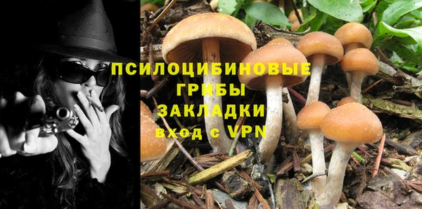 ГАЛЛЮЦИНОГЕННЫЕ ГРИБЫ Балабаново