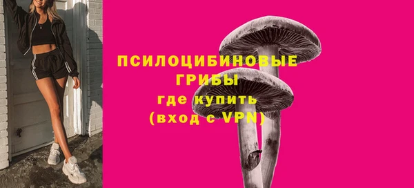 ГАЛЛЮЦИНОГЕННЫЕ ГРИБЫ Балабаново